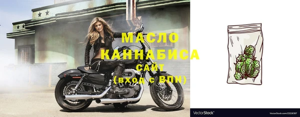 винт Пересвет