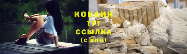 винт Пересвет
