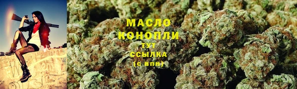 винт Пересвет