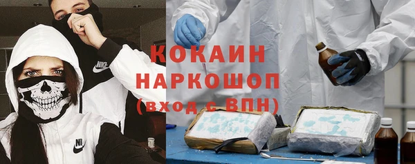 винт Пересвет
