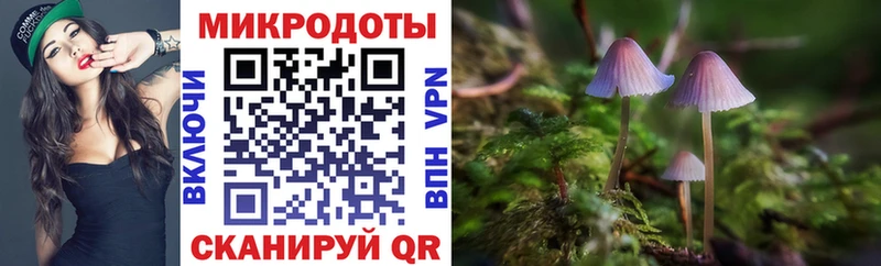 Псилоцибиновые грибы GOLDEN TEACHER  Благовещенск 