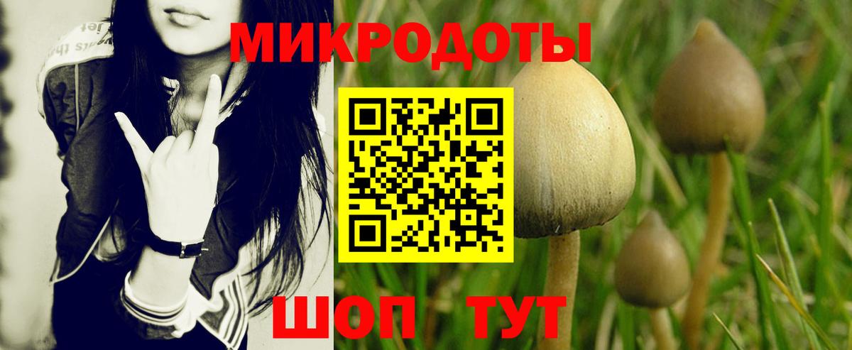 где найти наркотики  Галлюциногенные грибы GOLDEN TEACHER  Вход с VPN  Благовещенск 